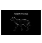 Kisállat immunitás